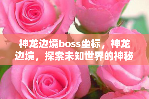 神龙边境boss坐标，神龙边境，探索未知世界的神秘之旅