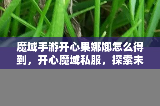魔域手游开心果娜娜怎么得到,开心魔域私服,探索未知世界的奇幻之旅 魔域手游开心果娜娜怎么得到,开心魔域私服,探索未知世界的奇幻之旅