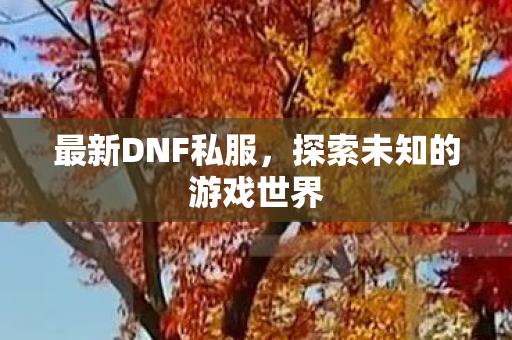 最新DNF私服,探索未知的游戏世界 最新DNF私服,探索未知的游戏世界
