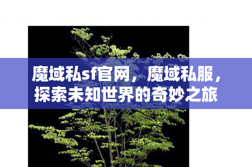 魔域私sf官网,魔域私服,探索未知世界的奇妙之旅 魔域私sf官网,魔域私服,探索未知世界的奇妙之旅