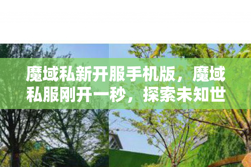 魔域私新开服手机版,魔域私服刚开一秒,探索未知世界的奇幻之旅 魔域私新开服手机版,魔域私服刚开一秒,探索未知世界的奇幻之旅