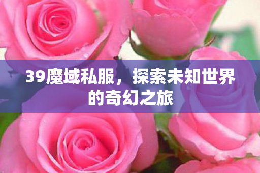 39魔域私服，探索未知世界的奇幻之旅