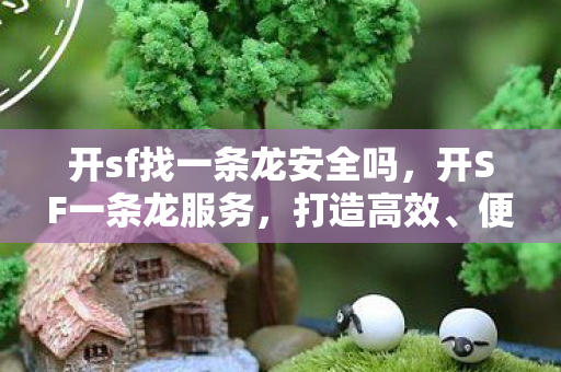 开sf找一条龙安全吗，开SF一条龙服务，打造高效、便捷的企业服务新生态