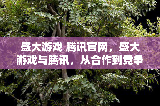 盛大游戏 腾讯官网,盛大游戏与腾讯,从合作到竞争的演变 盛大游戏 腾讯官网,盛大游戏与腾讯,从合作到竞争的演变