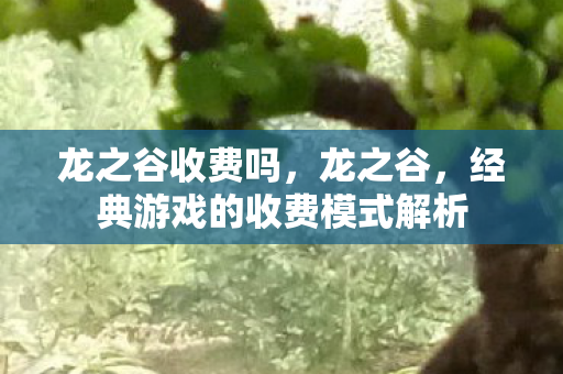 龙之谷收费吗,龙之谷,经典游戏的收费模式解析 龙之谷收费吗,龙之谷,经典游戏的收费模式解析