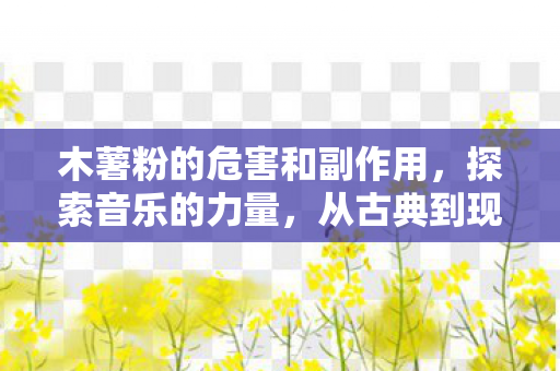 木薯粉的危害和副作用,探索音乐的力量,从古典到现代的奇妙旅程 木薯粉的危害和副作用,探索音乐的力量,从古典到现代的奇妙旅程