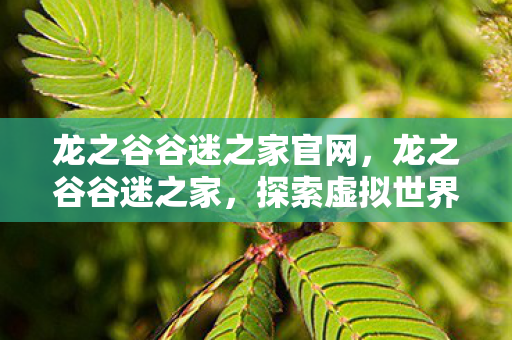 龙之谷谷迷之家官网,龙之谷谷迷之家,探索虚拟世界的奇幻之旅 龙之谷谷迷之家官网,龙之谷谷迷之家,探索虚拟世界的奇幻之旅