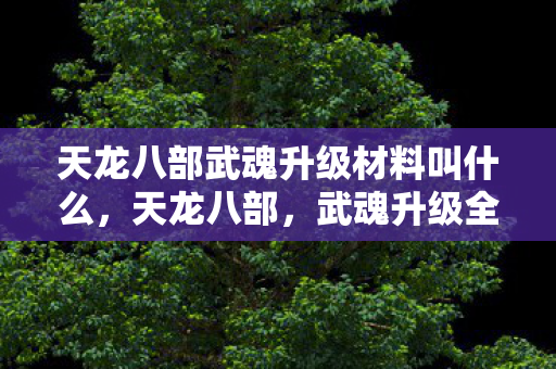 天龙八部武魂升级材料叫什么,天龙八部,武魂升级全攻略 天龙八部武魂升级材料叫什么,天龙八部,武魂升级全攻略