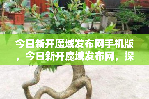 今日新开魔域发布网手机版,今日新开魔域发布网,探索未知世界的奇幻之旅 今日新开魔域发布网手机版,今日新开魔域发布网,探索未知世界的奇幻之旅