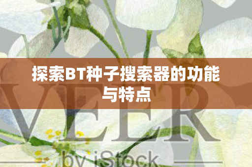 探索BT种子搜索器的功能与特点 探索BT种子搜索器的功能与特点