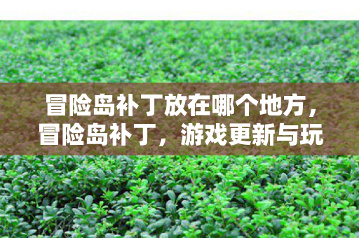 冒险岛补丁放在哪个地方，冒险岛补丁，游戏更新与玩家社区的互动