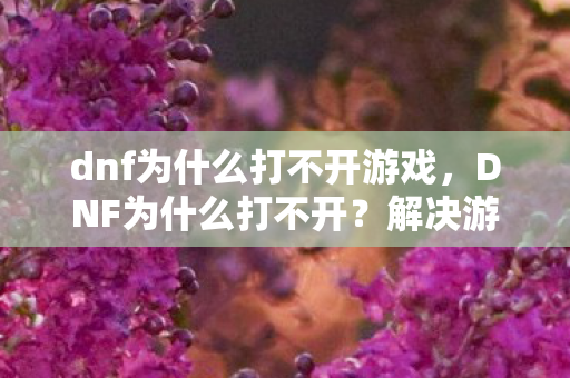 dnf为什么打不开游戏,DNF为什么打不开?解决游戏无法启动的常见问题 dnf为什么打不开游戏,DNF为什么打不开?解决游戏无法启动的常见问题