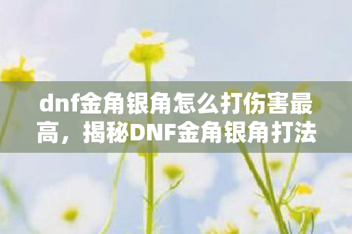 dnf金角银角怎么打伤害最高,揭秘DNF金角银角打法,掌握技巧,轻松通关 dnf金角银角怎么打伤害最高,揭秘DNF金角银角打法,掌握技巧,轻松通关