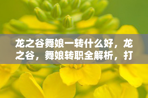 龙之谷舞娘一转什么好，龙之谷，舞娘转职全解析，打造最强输出角色