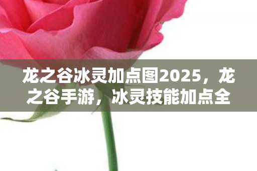 龙之谷冰灵加点图2025，龙之谷手游，冰灵技能加点全解析，打造最强输出！