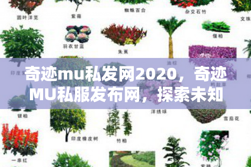 奇迹mu私发网2020,奇迹MU私服发布网,探索未知的游戏世界 奇迹mu私发网2020,奇迹MU私服发布网,探索未知的游戏世界