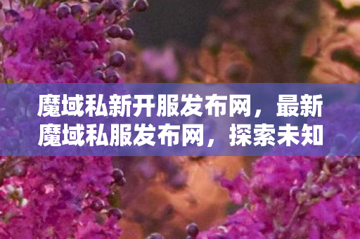 魔域私新开服发布网,最新魔域私服发布网,探索未知的游戏世界 魔域私新开服发布网,最新魔域私服发布网,探索未知的游戏世界