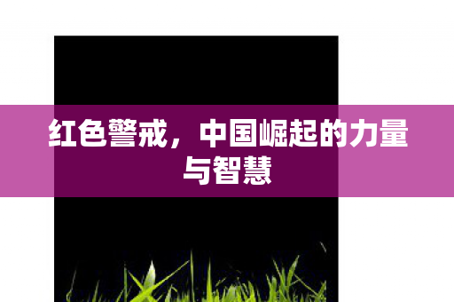 红色警戒，中国崛起的力量与智慧