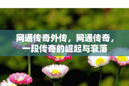 网通传奇外传,网通传奇,一段传奇的崛起与衰落 网通传奇外传,网通传奇,一段传奇的崛起与衰落