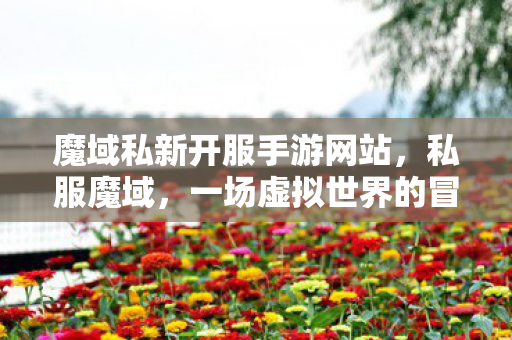 魔域私新开服手游网站,私服魔域,一场虚拟世界的冒险之旅 魔域私新开服手游网站,私服魔域,一场虚拟世界的冒险之旅
