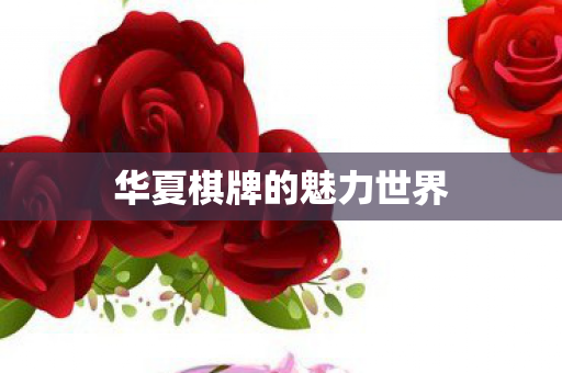 华夏棋牌的魅力世界 华夏棋牌的魅力世界