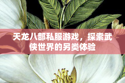 天龙八部私服游戏，探索武侠世界的另类体验