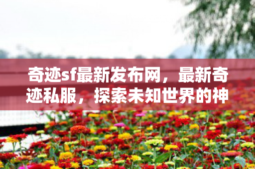 奇迹sf最新发布网，最新奇迹私服，探索未知世界的神秘之旅