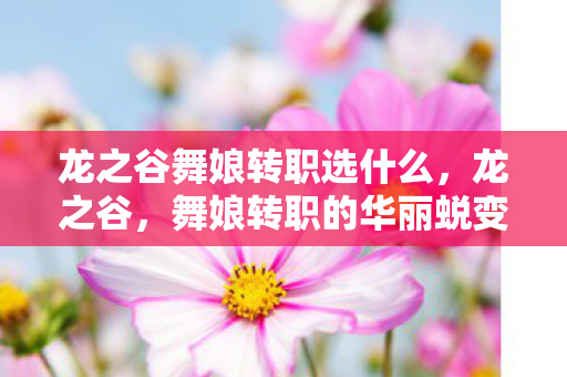 龙之谷舞娘转职选什么，龙之谷，舞娘转职的华丽蜕变