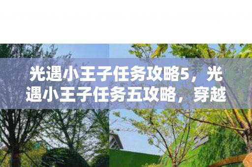 光遇小王子任务攻略5,光遇小王子任务五攻略,穿越星漠,寻找玫瑰与狐狸的秘密 光遇小王子任务攻略5,光遇小王子任务五攻略,穿越星漠,寻找玫瑰与狐狸的秘密