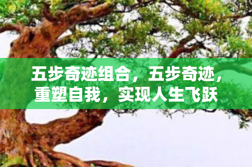 五步奇迹组合,五步奇迹,重塑自我,实现人生飞跃 五步奇迹组合,五步奇迹,重塑自我,实现人生飞跃