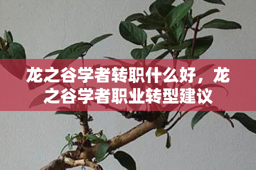 龙之谷学者转职什么好,龙之谷学者职业转型建议 龙之谷学者转职什么好,龙之谷学者职业转型建议