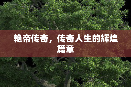 艳帝传奇，传奇人生的辉煌篇章