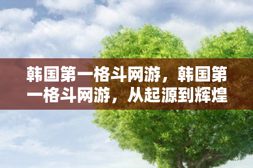 韩国第一格斗网游,韩国第一格斗网游,从起源到辉煌的传奇之路 韩国第一格斗网游,韩国第一格斗网游,从起源到辉煌的传奇之路