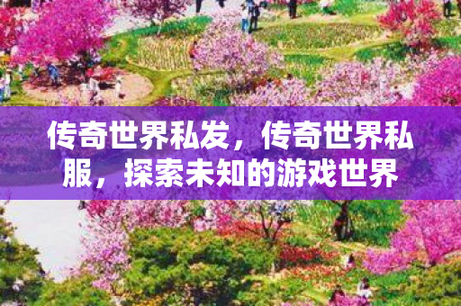 传奇世界私发,传奇世界私服,探索未知的游戏世界 传奇世界私发,传奇世界私服,探索未知的游戏世界
