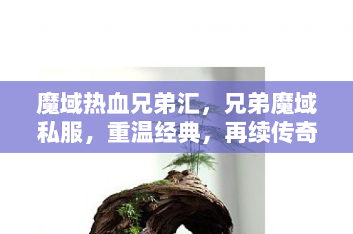 魔域热血兄弟汇,兄弟魔域私服,重温经典,再续传奇 魔域热血兄弟汇,兄弟魔域私服,重温经典,再续传奇