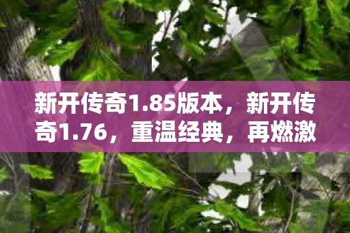 新开传奇1.85版本,新开传奇1.76,重温经典,再燃激情 新开传奇1.85版本,新开传奇1.76,重温经典,再燃激情