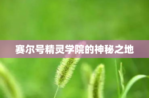 赛尔号精灵学院的神秘之地 赛尔号精灵学院的神秘之地