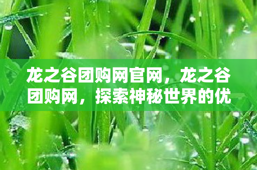 龙之谷团购网官网,龙之谷团购网,探索神秘世界的优惠之旅 龙之谷团购网官网,龙之谷团购网,探索神秘世界的优惠之旅