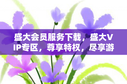 盛大会员服务下载,盛大VIP专区,尊享特权,尽享游戏乐趣 盛大会员服务下载,盛大VIP专区,尊享特权,尽享游戏乐趣
