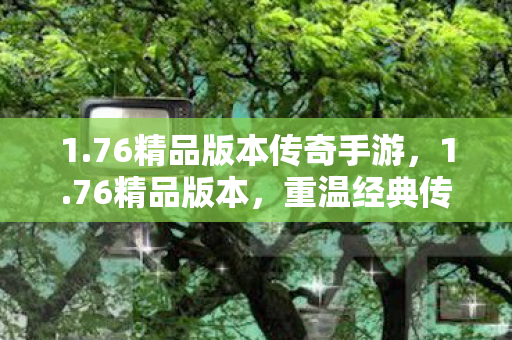 1.76精品版本传奇手游，1.76精品版本，重温经典传奇，感受不一样的游戏世界
