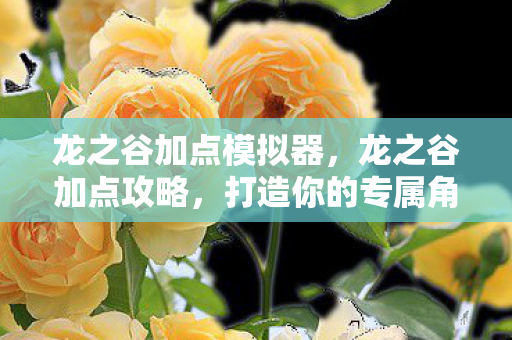 龙之谷加点模拟器,龙之谷加点攻略,打造你的专属角色 龙之谷加点模拟器,龙之谷加点攻略,打造你的专属角色