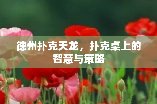 德州扑克天龙,扑克桌上的智慧与策略 德州扑克天龙,扑克桌上的智慧与策略