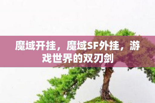 魔域开挂,魔域SF外挂,游戏世界的双刃剑 魔域开挂,魔域SF外挂,游戏世界的双刃剑