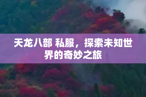天龙八部 私服,探索未知世界的奇妙之旅 天龙八部 私服,探索未知世界的奇妙之旅