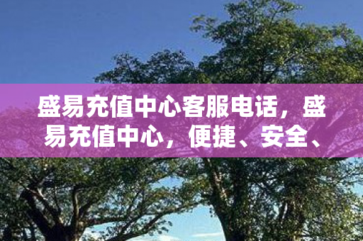 盛易充值中心客服电话，盛易充值中心，便捷、安全、高效的充值服务体验