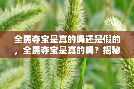 全民夺宝是真的吗还是假的,全民夺宝是真的吗?揭秘这一新型网络骗局 全民夺宝是真的吗还是假的,全民夺宝是真的吗?揭秘这一新型网络骗局
