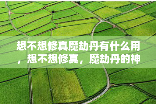 想不想修真魔劫丹有什么用，想不想修真，魔劫丹的神秘与诱惑