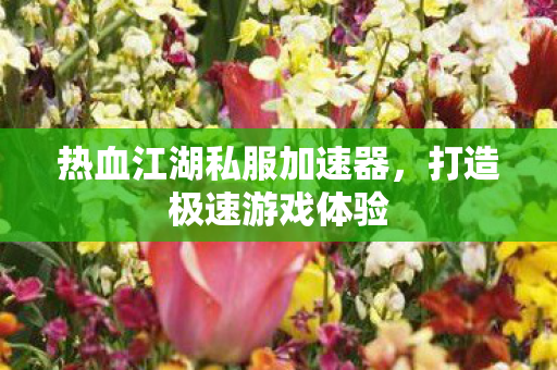 热血江湖私服加速器,打造极速游戏体验 热血江湖私服加速器,打造极速游戏体验