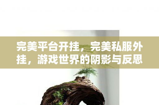 完美平台开挂,完美私服外挂,游戏世界的阴影与反思 完美平台开挂,完美私服外挂,游戏世界的阴影与反思