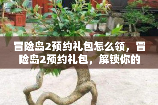 冒险岛2预约礼包怎么领,冒险岛2预约礼包,解锁你的游戏之旅新篇章 冒险岛2预约礼包怎么领,冒险岛2预约礼包,解锁你的游戏之旅新篇章